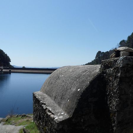 Amatalasvinas Piedralaves Luaran gambar