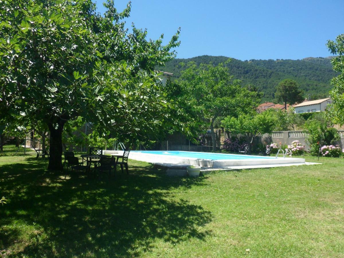 Amatalasvinas Piedralaves Luaran gambar